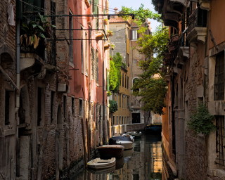 Image 2 from City