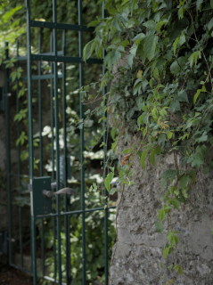 Image 3 from City