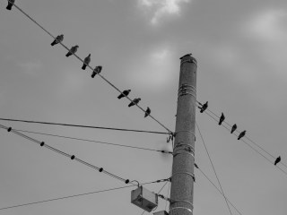 Image 9 from City