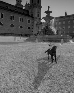 Image 13 from City