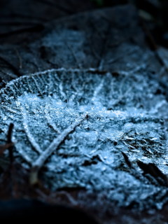 Image 2 from CloseUp