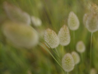 Image 5 from CloseUp