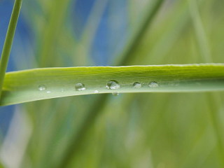 Image 6 from CloseUp