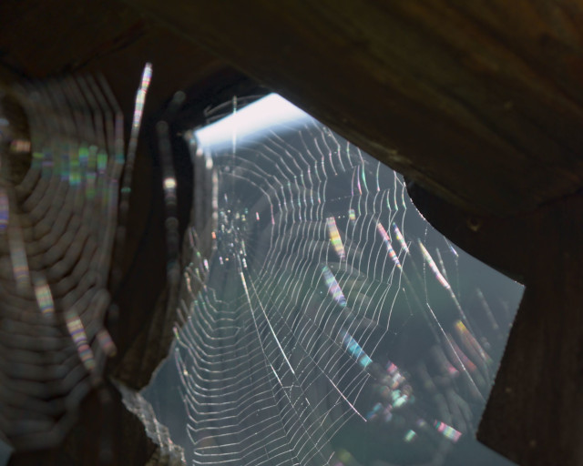 Image 8 from CloseUp