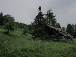 Image 0 from Glimpse