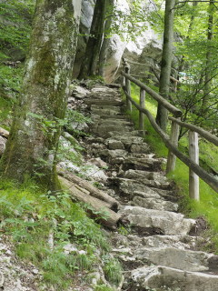 Image 2 from Glimpse