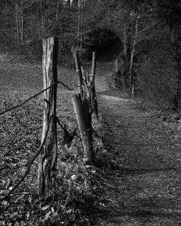Image 3 from Glimpse