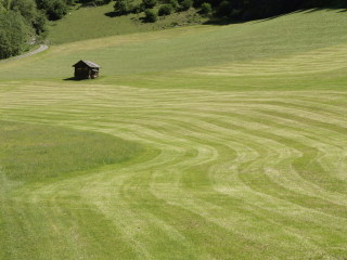 Image 5 from Glimpse
