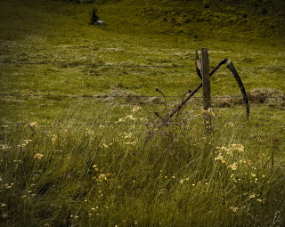 Image 6 from Glimpse