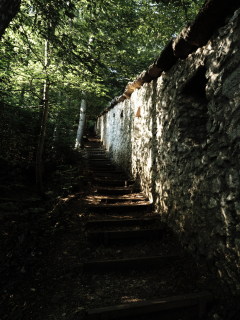 Image 7 from Glimpse