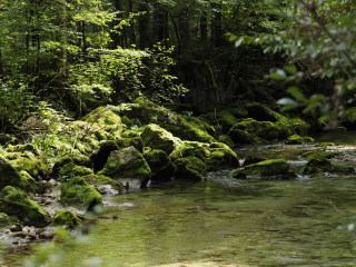 Image 11 from Glimpse