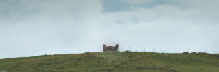 Image 12 from Glimpse