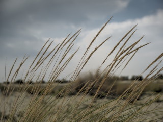 Image 19 from Glimpse