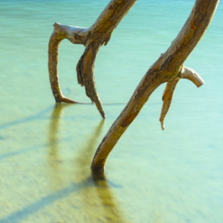 Image 2 from Minimal