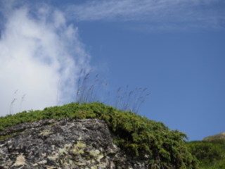 Image 6 from Minimal