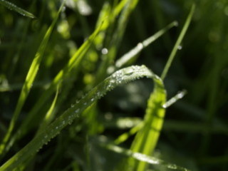 Image 18 from Minimal