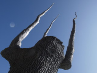 Image 19 from Minimal