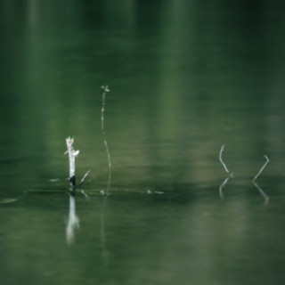 Image 26 from Minimal