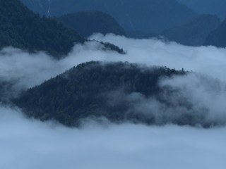 Image 10 from Views