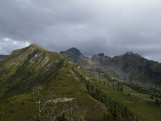 Image 11 from Views