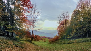 Image 24 from Views