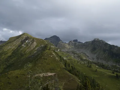 Eine Schafherde weidet auf einem grasbewachsenen Bergrücken