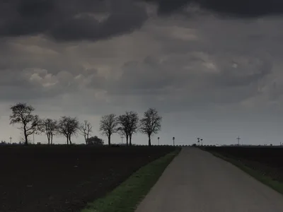 Eine winterlich kahle Baumreihe säumt einen geraden Feldweg